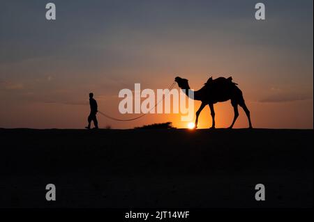 Silhouette d'un jeune caméléer qui conduit un chameau dans des dunes de sable. Coucher de soleil avec ciel bleu en arrière-plan. Banque D'Images