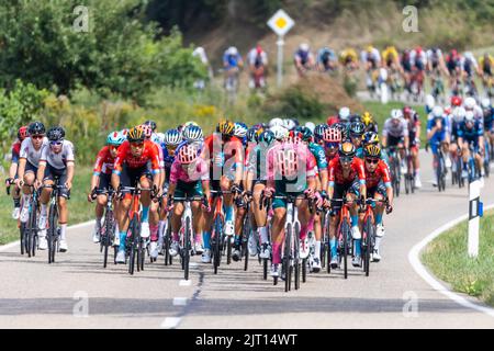 Vogtsburg im Kaiserstuhl, Allemagne. 27th août 2022. Les cyclistes se dirigeent vers le village d'Oberbergen dans le peloton de la troisième étape du Tour d'Allemagne. L'étape 3rd du Tour d'Allemagne mène de Fribourg à travers le Breisgau et le Land de Markgräfler jusqu'au Schauinsland. Credit: Philipp von Ditfurth/dpa/Alay Live News Banque D'Images