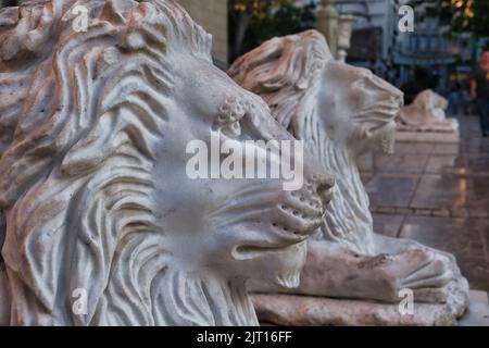 Gros plan des lions à l'entrée de la Sainte Église métropolitaine de l'Annonciation à la Vierge Marie à Athènes Banque D'Images