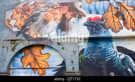 Parking Ingram Street, Glasgow. Ici, vous pouvez voir plusieurs peintures murales représentant la faune et la flore vivant dans les parcs de la ville - les « Fellow Glasgow Residents » par smug Banque D'Images