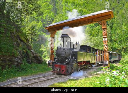 Un gros plan d'un vieux train à moteur à vapeur passant sous une porte en bois dans la vallée de Vaser, Maramures, Roumanie Banque D'Images