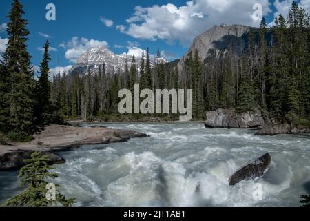 Beau paysage avec un fort débit de rivière et des montagnes au Canada Banque D'Images