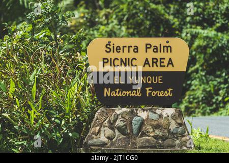 Panneau Sierra Palm Picnic Area à la forêt nationale d'El Yunque Banque D'Images