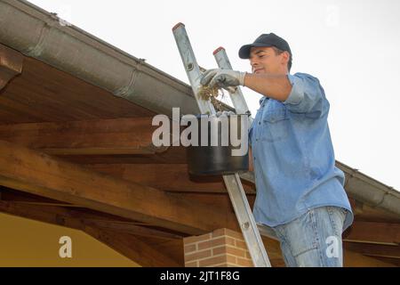 Image d'un homme de main qui, sur une échelle, nettoie la gouttière de sa maison des feuilles et de la saleté. Faites-le vous-même Banque D'Images