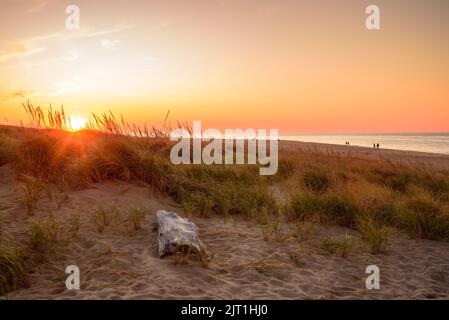 Dunes de sable côtières le long d'une plage au coucher du soleil en automne. Les personnes qui se baladent le long de la plage sont visibles à distance. Banque D'Images