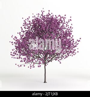 3d illustration de l'arbre de handroanthus impétiginosu isolé sur fond blanc Banque D'Images