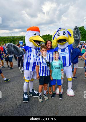 Brighton, Royaume-Uni. 27th août 2022. Les jeunes fans des mascottes de Brighton avant le match de la Premier League entre Brighton & Hove Albion et Leeds se sont Unis à l'Amex on 27 août 2022 à Brighton, en Angleterre. (Photo de Jeff Mood/phcimages.com) Credit: PHC Images/Alamy Live News Banque D'Images