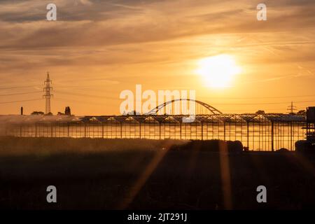 Coucher de soleil doré sur les silhouettes de serre avec pont et tour d'électricité pour l'énergie solaire dans les affaires agricoles sur campagne idyllique et rural Banque D'Images