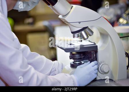 Belle femme examine la culture cellulaire sous microscope Banque D'Images