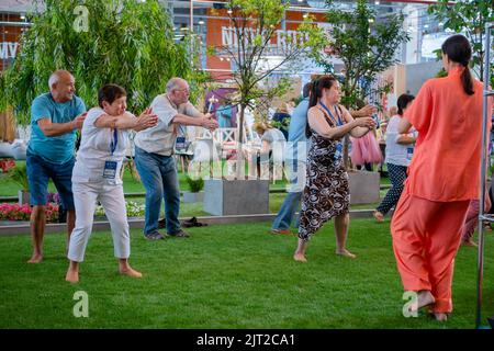 Groupe de personnes âgées faisant de l'étirement et de l'exercice de yoga d'équilibre Banque D'Images