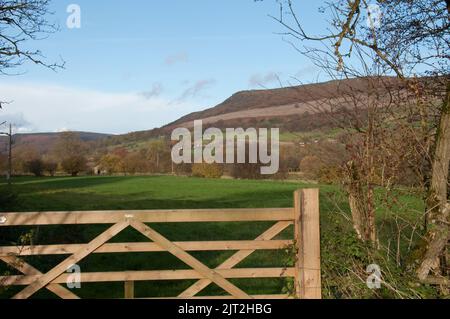 Scène rurale, Bamford, Derbyshire, Royaume-Uni, terrain, collines, arbres Banque D'Images