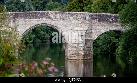 Pont de teston sur la rivière Medway Banque D'Images