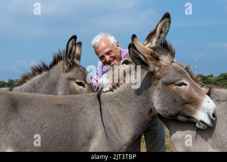 Mayence, Allemagne. 19th août 2022. Le gardien d'ânes René Reifenrath avec trois des neuf étalons d'ânes qui bissent sur une zone de la réserve naturelle de Mainzer Sand. Le pâturage garde le paysage ouvert et permet ainsi la préservation d'espèces de plantes rares dans ce biotope de prairie de steppe. (À dpa: 'heep et les ânes comme protecteurs de la nature - les propriétaires d'animaux ont besoin de soutien') Credit: Peter Zschunke/dpa/Alay Live News Banque D'Images