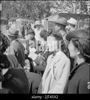 Turlock, Californie. Des familles d'ascendance japonaise sont arrivées au centre de montage de Turlock. Évacués wi . . . Banque D'Images