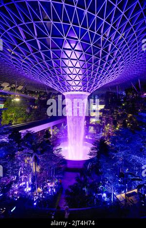 SINGAPOUR - VERS JANVIER 2020 : vue sur la pluie Vortex, la plus grande et la plus grande cascade intérieure du monde, à 40 mètres au Jewel Changi Banque D'Images