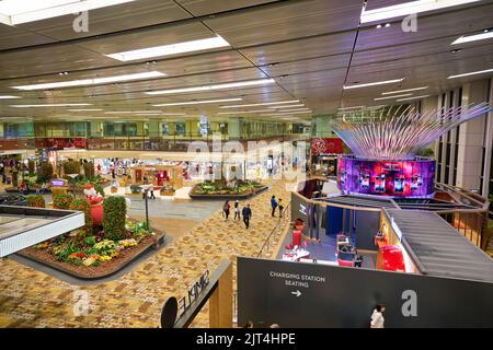 SINGAPOUR - VERS JANVIER 2020 : vue du magasin social Tree et Hennessy à l'aéroport international Changi de Singapour. Banque D'Images