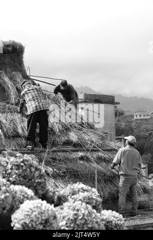 Une photo en niveaux de gris de personnes travaillant ensemble pour construire un toit pendant la saison estivale Banque D'Images