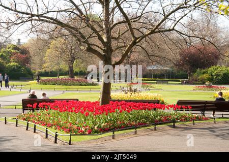 Jardins, St Stephen's Green, Dublin, Irlande Banque D'Images