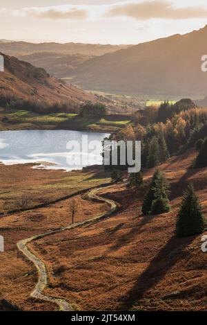 Superbe image de paysage d'automne vibrant regardant de Pike O'Blisco vers Blea Tarn avec beau soleil sur les montagnes et la vallée Banque D'Images