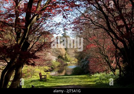 Mount Usher Gardens, Mount Usher, Co. Wicklow, Eire. Le mont Usher est l'un des jardins les plus appréciés d'Irlande, tant par les professionnels que par le grand public. Banque D'Images