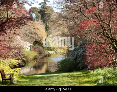 Mount Usher Gardens, Mount Usher, Co. Wicklow, Eire. Le mont Usher est l'un des jardins les plus appréciés d'Irlande, tant par les professionnels que par le grand public. Banque D'Images