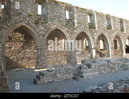 Sculptures (bas relief), Abbaye de Jerpoint, Thomastown, Co. Kilkenny, Eire. Situé sur les rives de la rivière Arrigle à environ 2km de Thomastown, Co. Kilk Banque D'Images