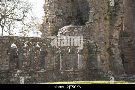 Cloître, Abbaye de Jerpoint, Thomastown, Co. Kilkenny, Eire. Situé sur les rives de la rivière Arrigle à environ 2km de Thomastown, Co. Kilkenny, Jerpoint Banque D'Images