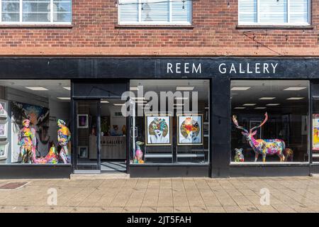 Reem Gallery, une galerie d'art dans le centre-ville de Camberley, Surrey, Angleterre, Royaume-Uni Banque D'Images