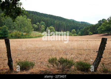 Chemin rural et clôture barbelée contre les prés brûlés dans les Ardennes Banque D'Images