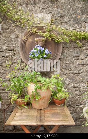 Castle Durrow Hotel Gardens (détail), Thomastown, Co Kilkenny, Eire Banque D'Images