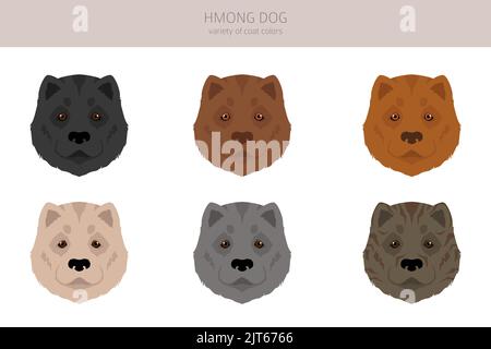 Hmong chien clipart. Différentes poses, ensemble de couleurs de pelage. Illustration vectorielle Illustration de Vecteur