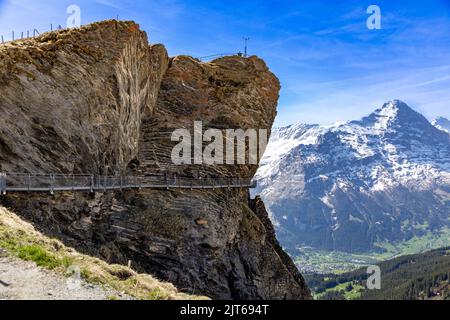 Passerelle suspendue d'une montagne rocheuse à la première montagne près de Grindelwald dans les alpes suisses. Des montagnes enneigées en arrière-plan. Banque D'Images