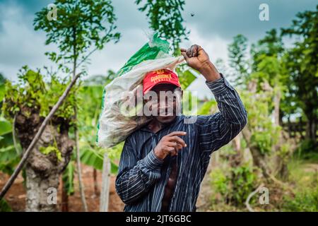 Punta Cana/ République dominicaine - 12 juin 2016: L'homme transporte les ordures dans les plantations. Banque D'Images