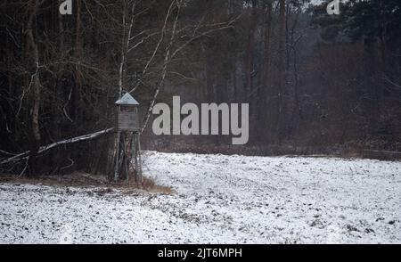 Pulpit de chasse dans la forêt près du champ enneigé. Chasse en hiver. Banque D'Images