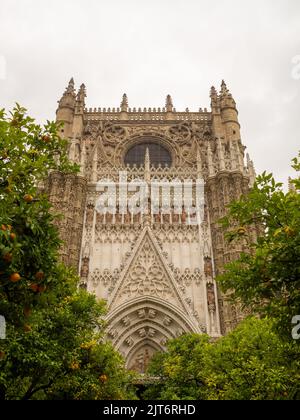 Porte de la conception, dans la façade nord de la cathédrale de Séville Banque D'Images