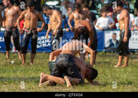 Bursa, Turquie - août 2022 : le pétrole turc traditionnel, les lutteurs luttent pour battre leurs adversaires sur l'herbe en chaude, jour ensoleillé, foyer sélectif. Banque D'Images