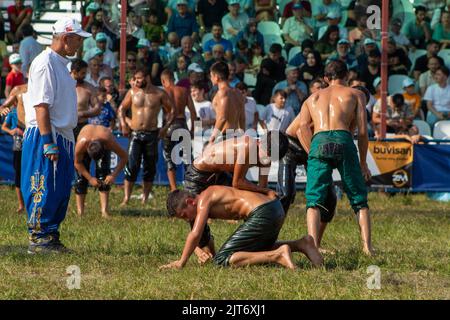 Bursa, Turquie - août 2022 : le pétrole turc traditionnel, les lutteurs luttent pour battre leurs adversaires sur l'herbe en chaude, jour ensoleillé, foyer sélectif. Banque D'Images