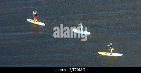 Vue aérienne, stand Up Paddling SUP sur Baldeneysee, Fischlaken, Essen, région de la Ruhr, Rhénanie-du-Nord-Westphalie, Allemagne, DE, alimentation, Europe, Loisirs, Antenne Banque D'Images