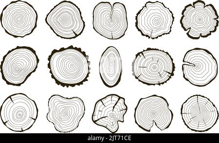 Trunk rings en bois, stump circulaire texture bois vue de dessus. Anneau d'âge de l'arbre, logo et contour abstraits de cercles en rondins. Coupe de journaux, lignes de réseau racy imprime vecteur Illustration de Vecteur