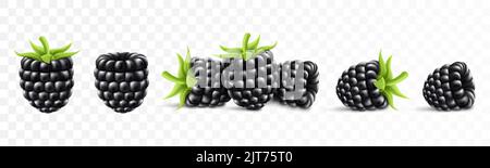 Blackberry. Fruit doux. Forest berry. 3d vector icons set. Illustration réaliste Illustration de Vecteur