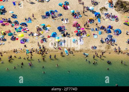 Baigneurs de photos aériennes dans le lac d'argent Haltern près de Sythen, se précipitent à l'eau turquoise à plus de 30 degrés, Lehmbraken, Haltern am See, région de Ruhr, non Banque D'Images