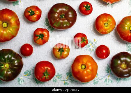 Une variété de tomates fraîchement récoltées sur une planche à découper. Banque D'Images