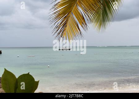 Pigeon point Beach dans le parc du patrimoine de Pigeon point à Tobago, Antilles. Banque D'Images