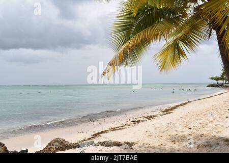 Pigeon point Beach dans le parc du patrimoine de Pigeon point à Tobago, Antilles. Banque D'Images