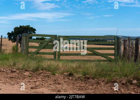 Porte de ferme et pâturage et champ de reproduction de bétail. Paysage rural. Zone de production agricole. Ancienne porte. Clôture de zonage rurale. Portail en bois dans le col vert Banque D'Images