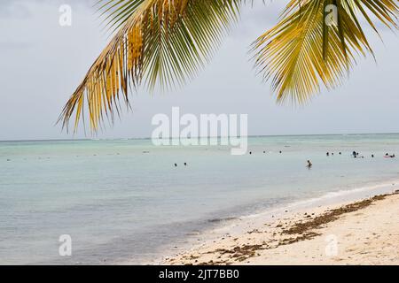 Pigeon point Beach dans le parc du patrimoine de Pigeon point à Tobago, Antilles. Banque D'Images