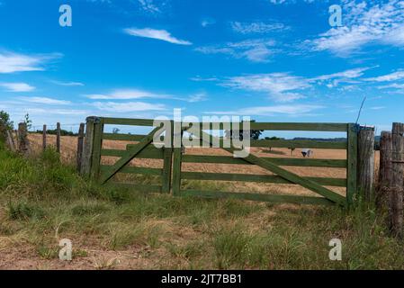 Porte de ferme et pâturage et champ de reproduction de bétail. Paysage rural. Zone de production agricole. Ancienne porte. Clôture de zonage rurale. Portail en bois dans le col vert Banque D'Images