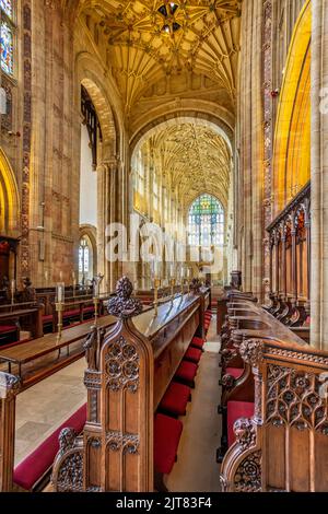 Stands de chœur et plafonds voûtés à l'intérieur de l'abbaye de Sherborne, Dorset, Royaume-Uni, le 28 août 2022 Banque D'Images