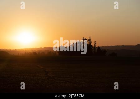 Paysages du biome pampa au coucher du soleil. En fin d'après-midi sur le terrain. Paysages ruraux. Crépuscule dans les zones agricoles. Nature. Couleurs et lumières crépusculaires. Feelin Banque D'Images