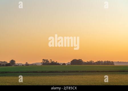 Paysages du biome pampa au coucher du soleil. En fin d'après-midi sur le terrain. Paysages ruraux. Crépuscule dans les zones agricoles. Nature. Couleurs et lumières crépusculaires. Feelin Banque D'Images